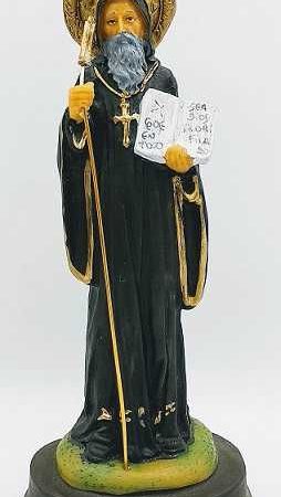 San Benito - 20 cm.